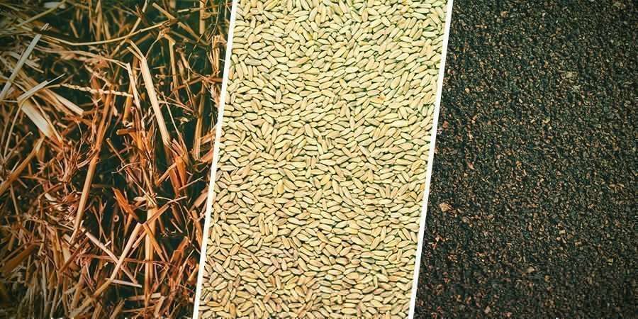 Was Ist Ein Pilzsubstrat? WAS IST EIN PILZSUBSTRAT?