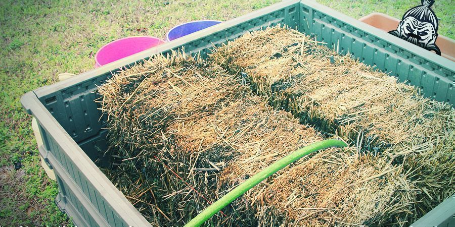 Wann Man Pasteurisieren / Sterilisieren Sollte WANN MAN PASTEURISIEREN / STERILISIEREN SOLLTE