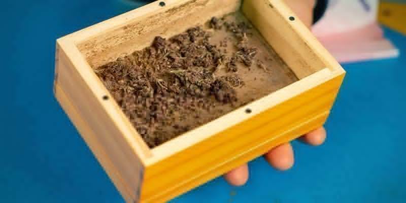 Verschließe Den Deckel Wieder Und Schüttele, Zerkleinere Und Reibe Das Gras Erneut Verschließe den Deckel wieder und schüttele, zerkleinere und reibe das Gras erneut