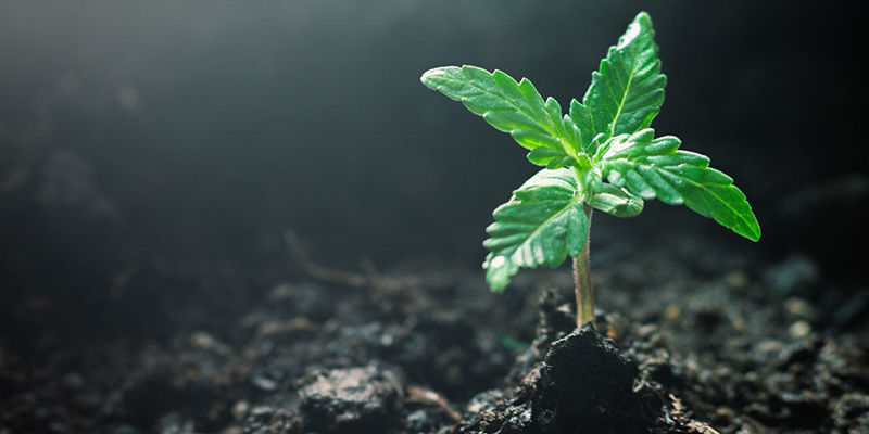 GG#4 Anbauen GG#4 Anbauen