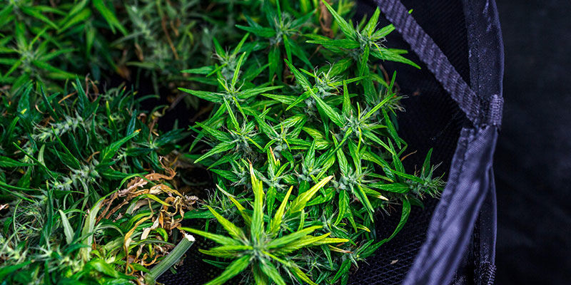 Trockengestell TROCKENGESTELL