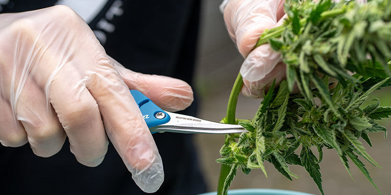 Nitrilhandschuhe NITRILHANDSCHUHE