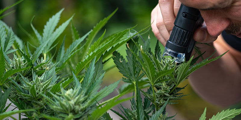 Taschenmikroskop TASCHENMIKROSKOP