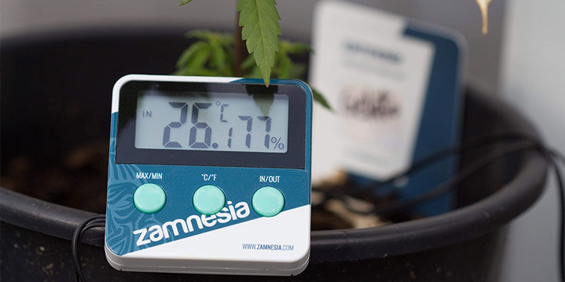 Thermometer/Hygrometer Thermometer/Hygrometer