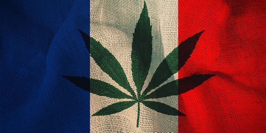 Der Plan Des Ausschusses Frankreich und Cannabis: Der Plan des Ausschusses