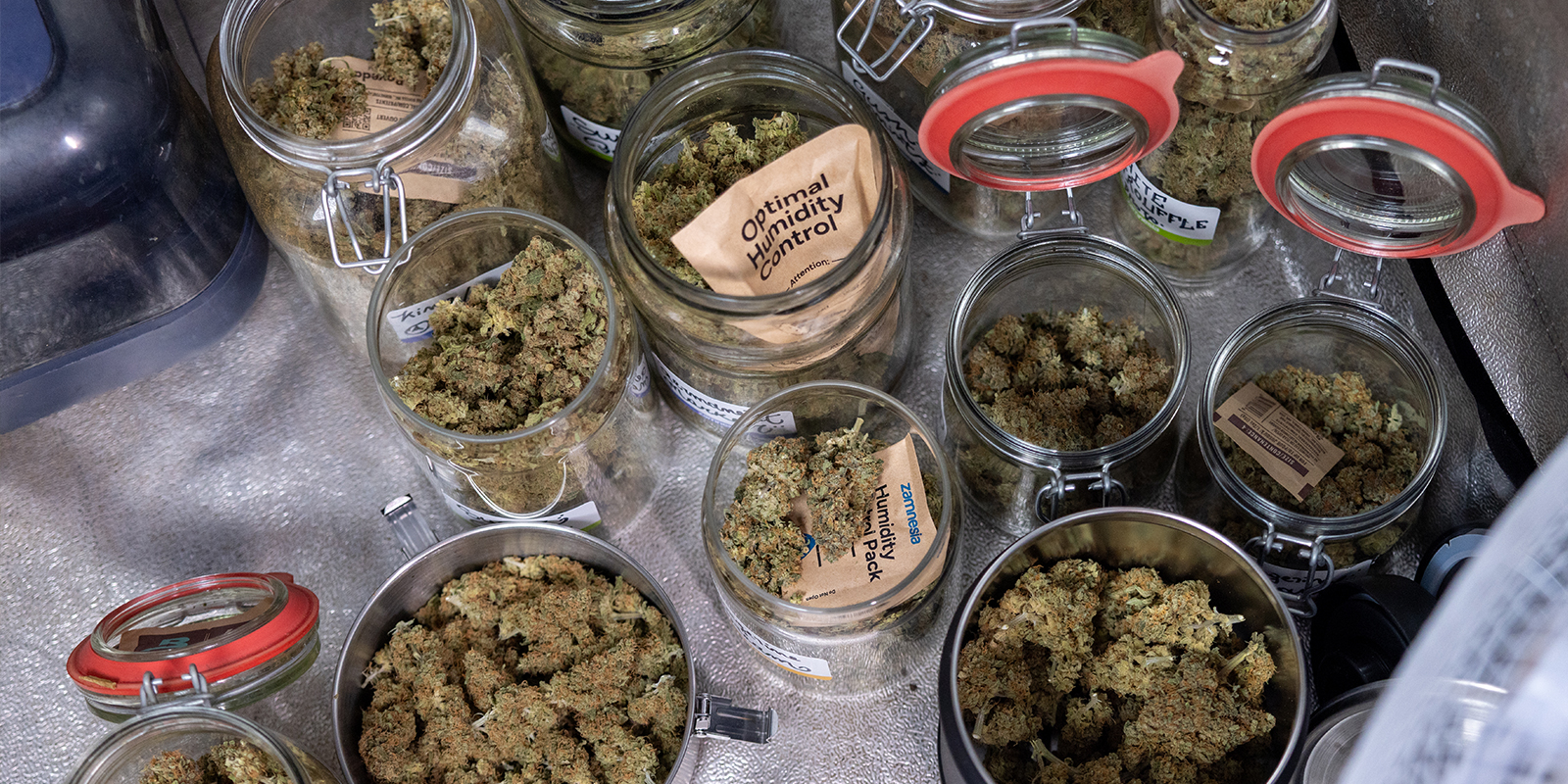 Smart anbauen, groß ernten Smart anbauen, groß ernten