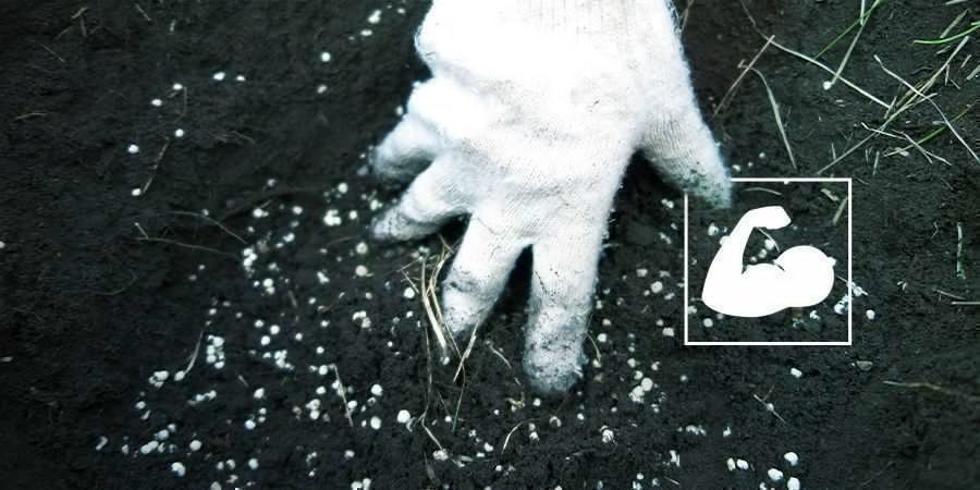 Supererde Erzeugen SUPERERDE ERZEUGEN