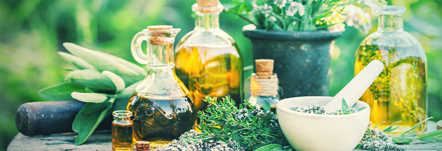 R/druggardening: Nicht Deine Gewöhnlichen Anbauratschläge