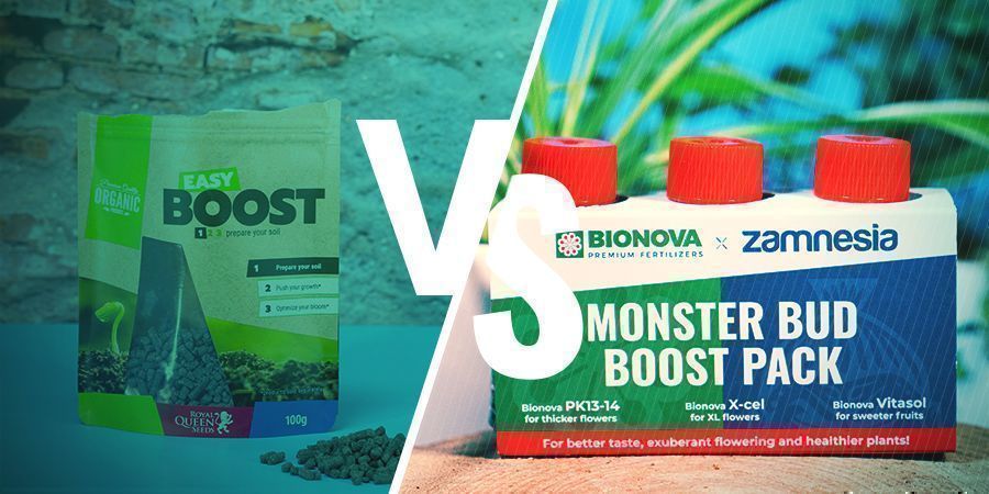 Unterschiede Zwischen Flüssig- Und Granulatnährstoffen Unterschiede Zwischen Flüssig- Und Granulatnährstoffen