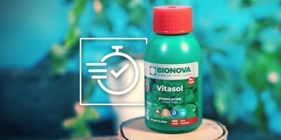 Vor- Und Nachteile Von Flüssignährstoffen Vor- Und Nachteile Von Flüssignährstoffen