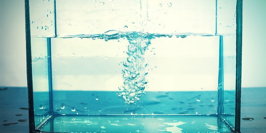 Baue Das Aquarium Zusammen Baue Das Aquarium Zusammen