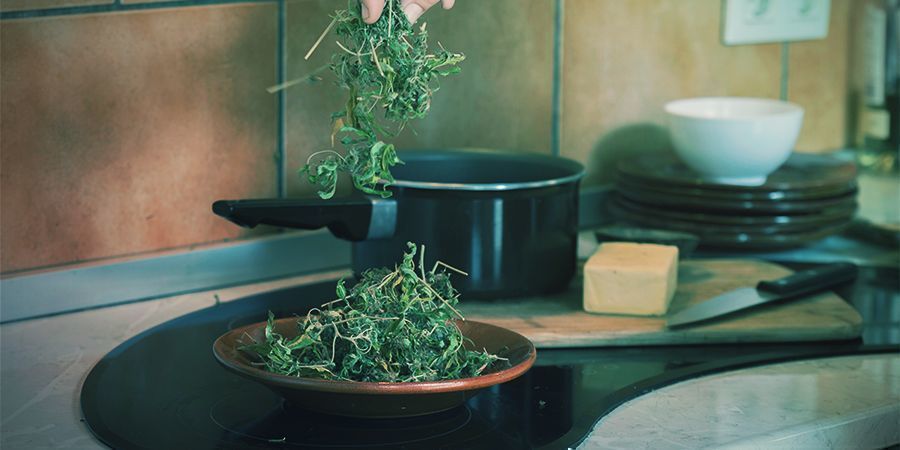 Leichter Zu Verwenden Edibles Mit Cannabiskonzentraten: Leichter zu verwenden