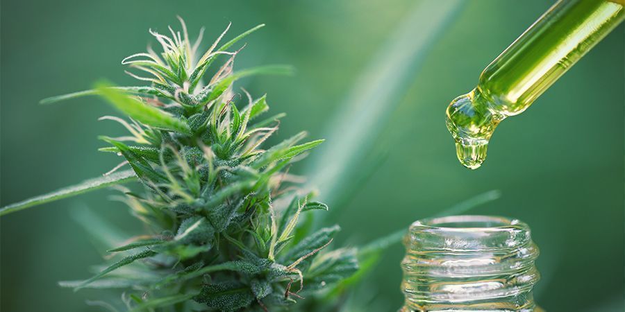 Berechne Die Korrekte Dosis Edibles Mit Cannabiskonzentraten: Berechne die korrekte Dosis