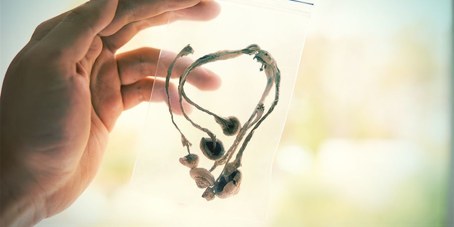 Magic-Mushrooms-Entzug Magic-Mushrooms-Entzug