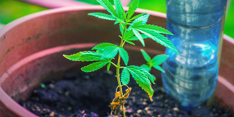 Umgedrehte Flasche Im Boden