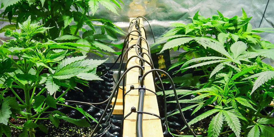 Im Handel Erhältliche Optionen