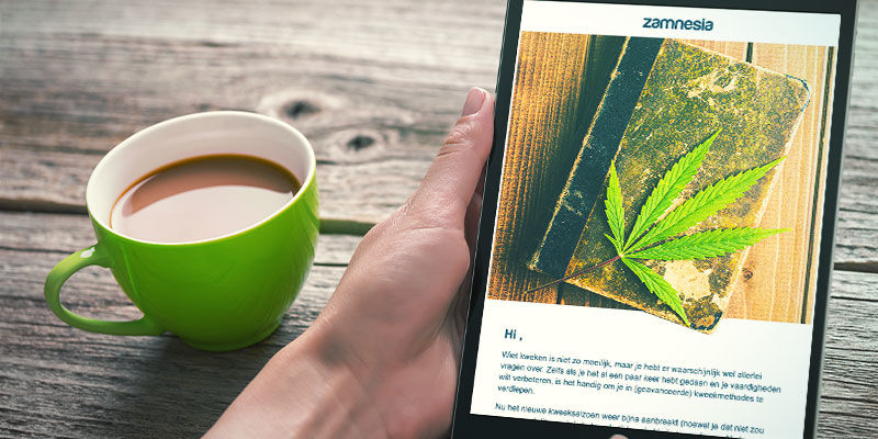 Abonniere Newsletters Von Bekannten Züchtern Und Saatgutbanken Abonniere Newsletters von bekannten Züchtern und Saatgutbanken