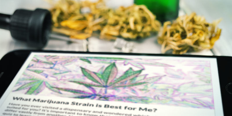 Spiele Ein Frage-Und-Antwort-Spiel Spiele ein Frage-und-Antwort-Spiel