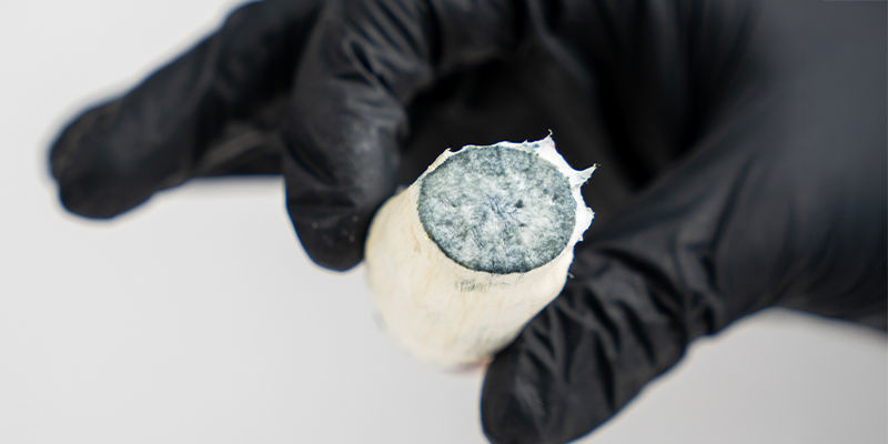 Frische vs. getrocknete Magic Mushrooms: Was ist besser für dich geeignet? Frische vs. getrocknete Magic Mushrooms: Was ist besser für dich geeignet?