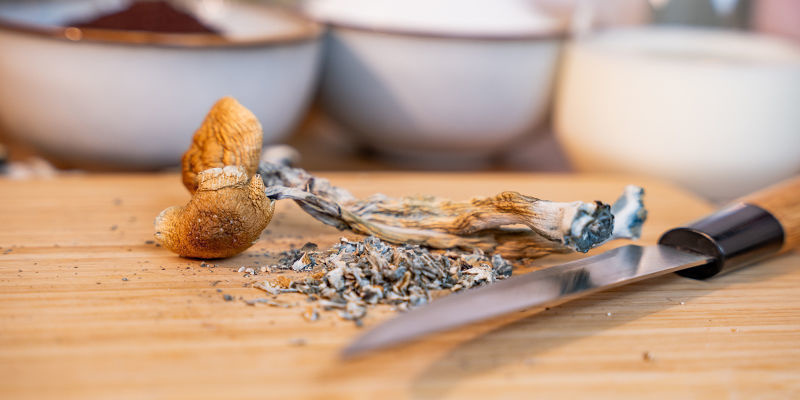 Zubereitung von Zauberpilzen für den unkomplizierten Konsum Zubereitung von Zauberpilzen für den unkomplizierten Konsum