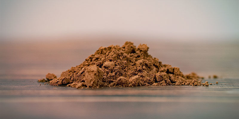 Pulver Reishi Pulver