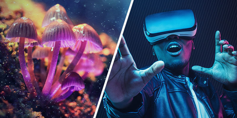 Psychedelika Und VR: Parallelen Psychedelika und VR: Parallelen