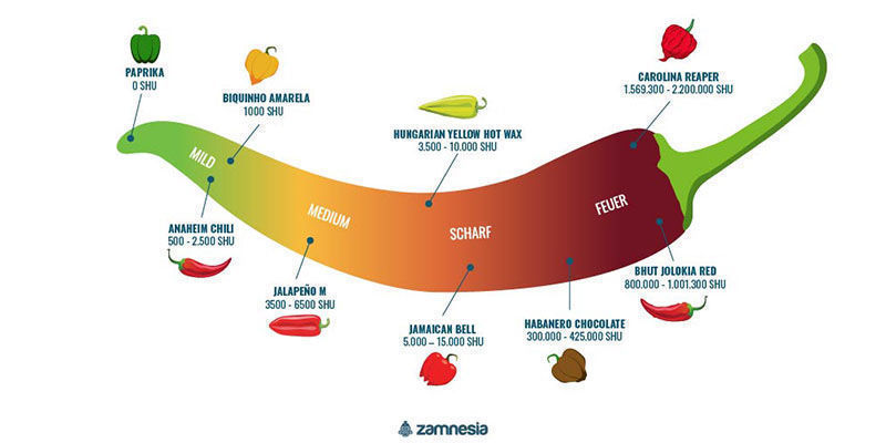 Wie Scharf Ist Bhut Jolokia? Wie Scharf Ist Bhut Jolokia?