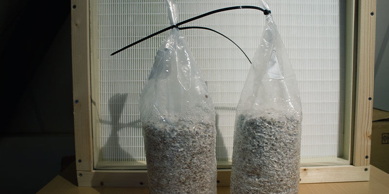 Braucht Man Eine Mikrobiologische Sicherheitswerkbank, Um Pilze Zu Züchten? mikrobiologische Sicherheitswerkbank um Pilze zu züchten