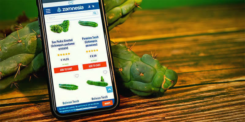 Wo Kann Man Echinopsis Zamnesiana Kaufen