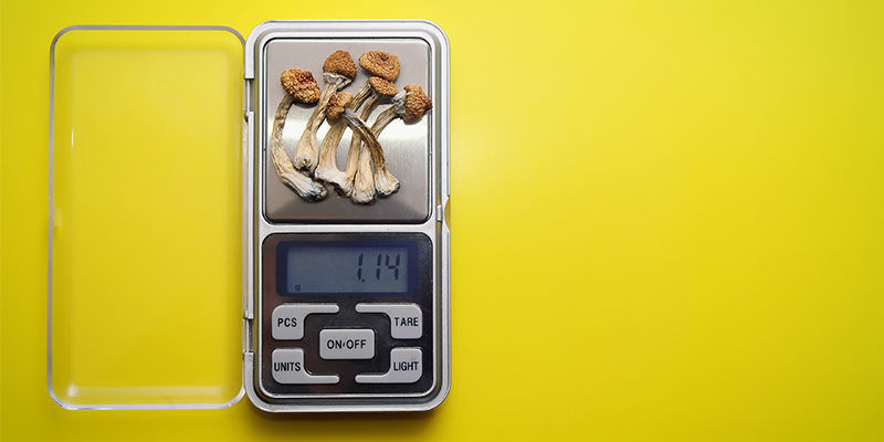Wie Man Magic Mushrooms Mit Unterschiedlicher Potenz Dosiert Wie Man Magic Mushrooms Mit Unterschiedlicher Potenz Dosiert