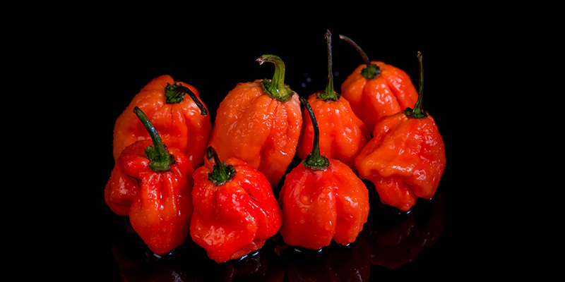 Naga Viper: 1,38 Mio SHU Naga Viper: 1,38 Mio SHU