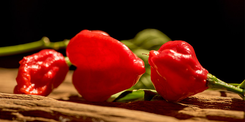 Red Savina Habanero: 577 K SHU Red Savina Habanero: 577 K SHU