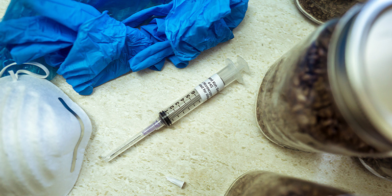 Warum du eine Sporenspritze brauchst, um Flüssigkultur herzustellen Warum du eine Sporenspritze brauchst, um Flüssigkultur herzustellen