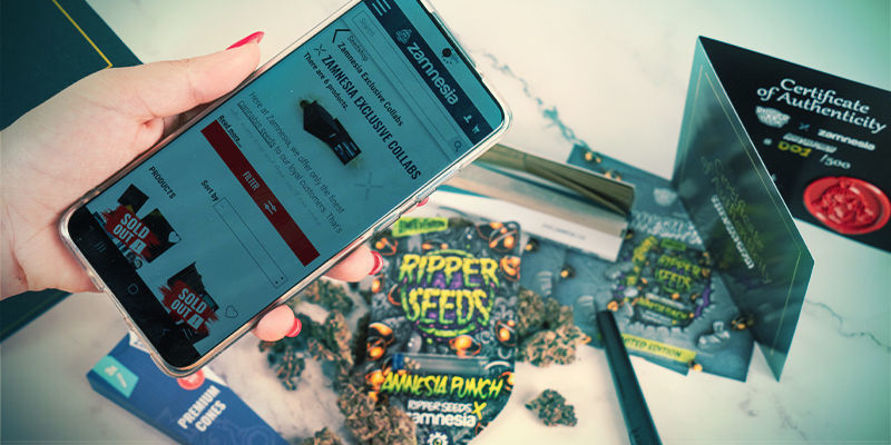 Amnesia Punch: Jetzt Erhältlich Amnesia Punch: Jetzt Erhältlich