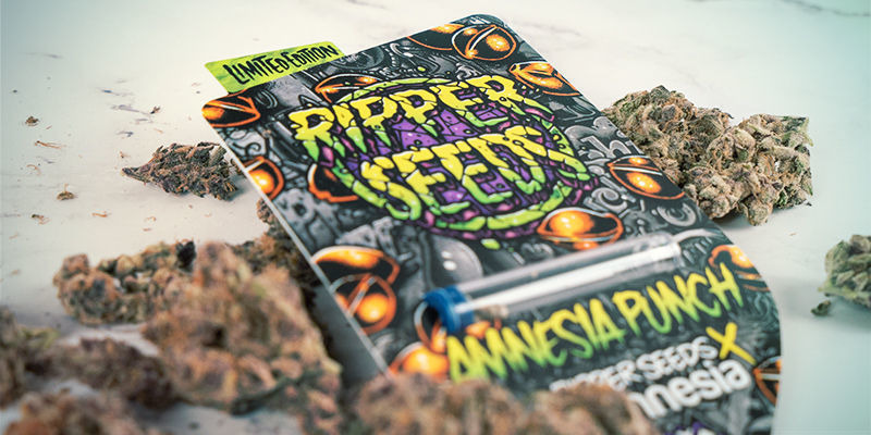 Die Wirkung Von Amnesia Punch Die Wirkung Von Amnesia Punch