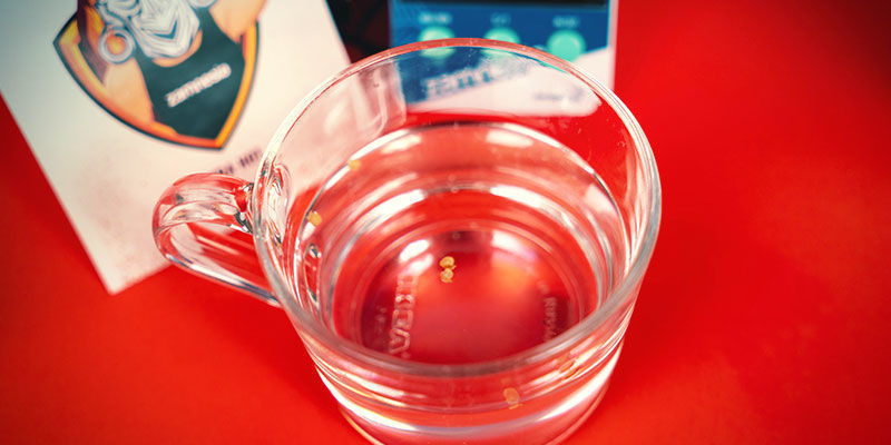 Chilisamen In Wasser Keimen Chilisamen in Wasser keimen