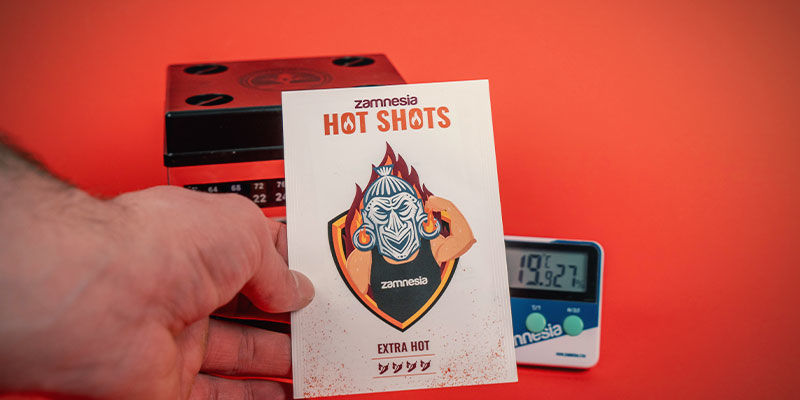 Was Brauchen Chilisamen Zum Keimen? Was brauchen Chilisamen zum Keimen?