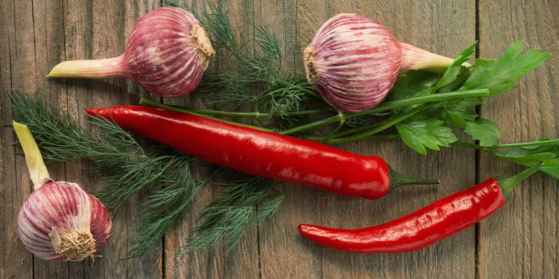 3 Chili-Begleitpflanzen: Kräuter 3 Chili-Begleitpflanzen: Kräuter