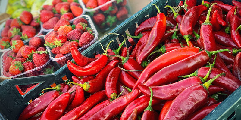 Welche Pflanzen Sollte Man Meiden? Welche Pflanzen Sollte Man Meiden?