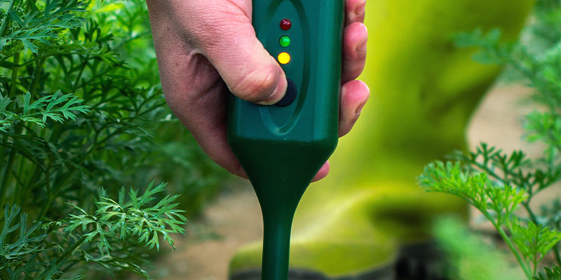 Halte Den Stickstoffgehalt Hoch Halte Den Stickstoffgehalt Hoch