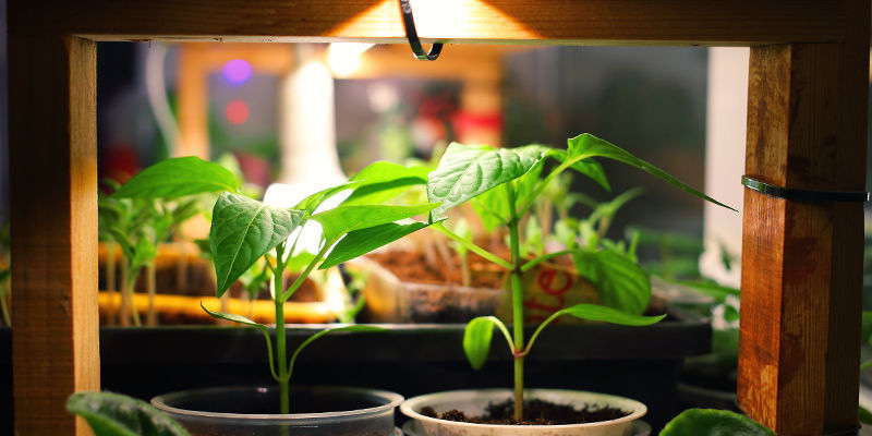 Biete Auch Nachts Ein Warmes Klima Biete Auch Nachts Ein Warmes Klima