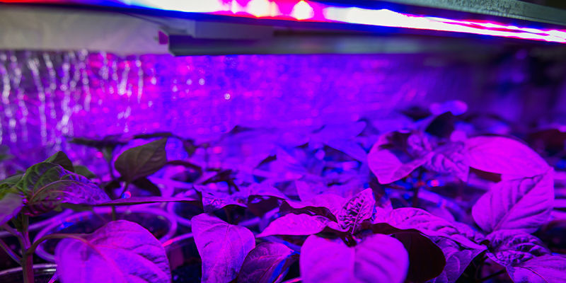 Beleuchtung Beleuchtung