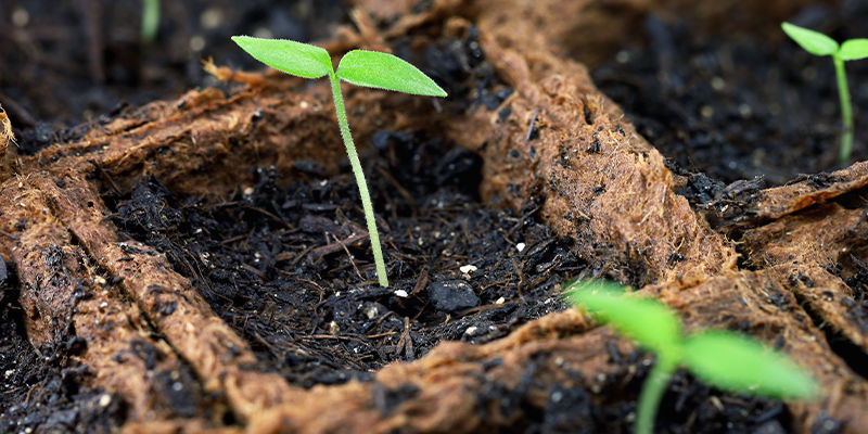 Erdmischung Erdmischung