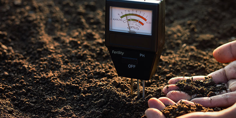 Nährstoffsperre Nährstoffsperre