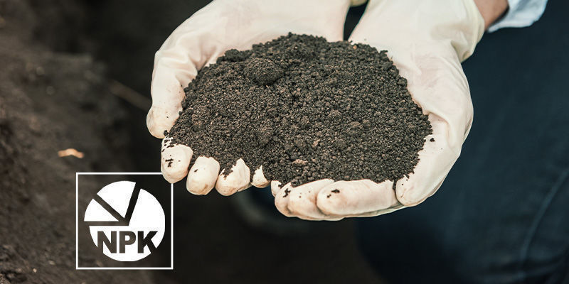 Primäre Nährstoffe Primäre Nährstoffe