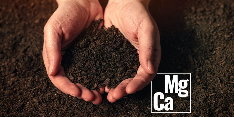 Sekundäre Nährstoffe Sekundäre Nährstoffe