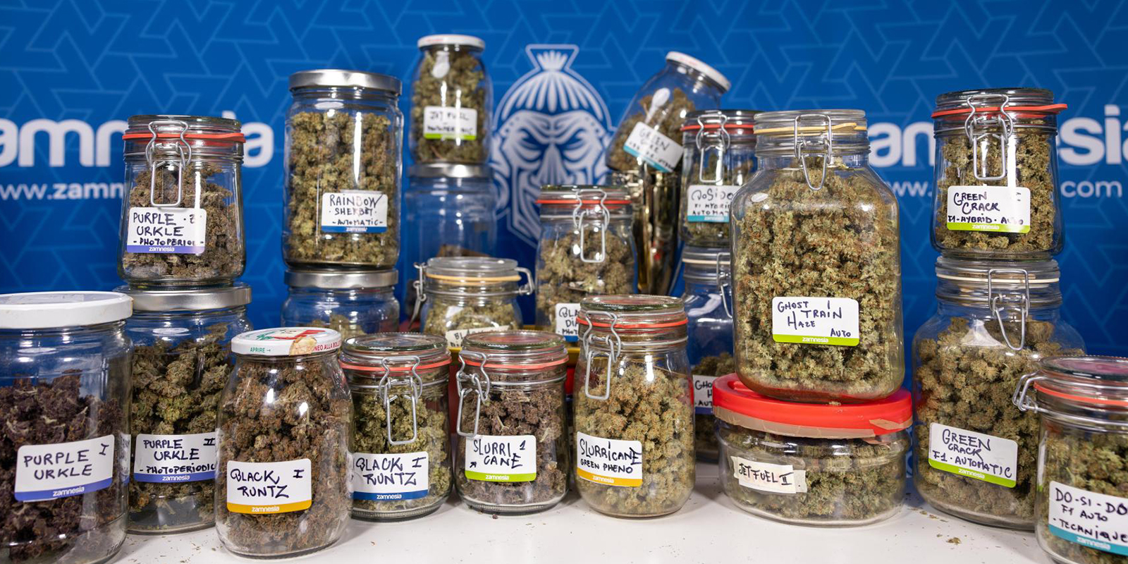 Abschlie&szlig;ende Gedanken: Warum diese Strains unsere Community immer wieder zur&uuml;ckholen