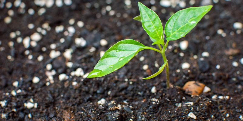 Pflege Und Wartung Pflege Und Wartung