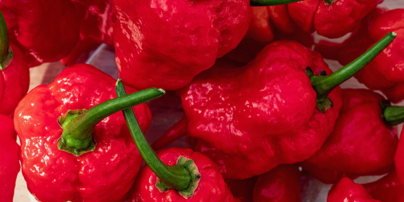 Der Weg Zur Ernte Der Weg Zur Ernte