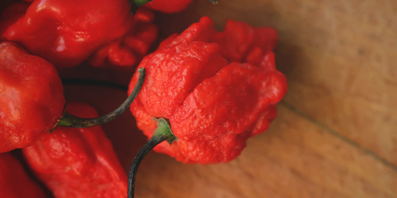 Bist Du Bereit Für Den Carolina Reaper? Bist Du Bereit Für Den Carolina Reaper?